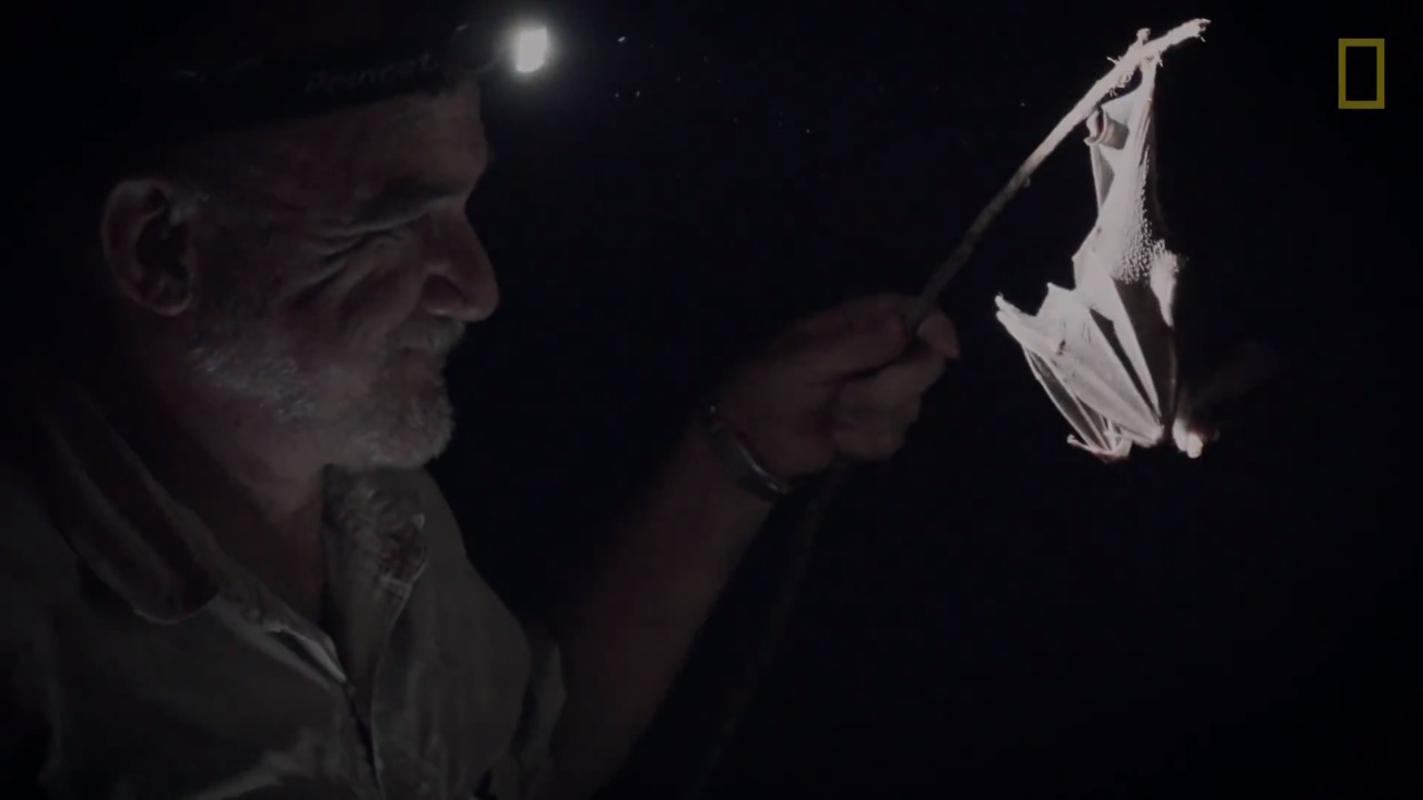 Explorers at Work Rodrigo Medellín